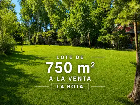 VENTA LOTE LA BOTA INGENIERO MASCHWITZ 