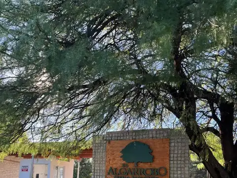 Ruta 100
