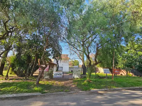 Guatemala al 1800