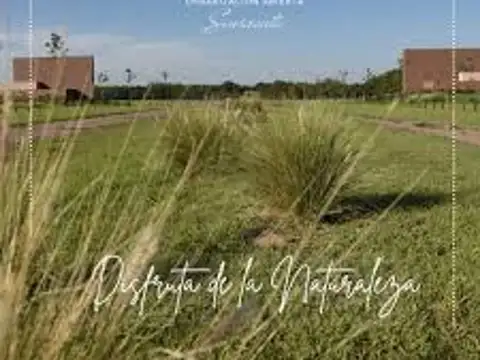 Venta de lote 800 m vista real sinsacate cordoba