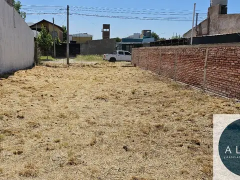 Terreno en Venta 29  mts Fondo
