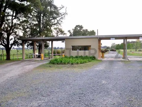 Terreno en Venta en Ezeiza, USD 42.000