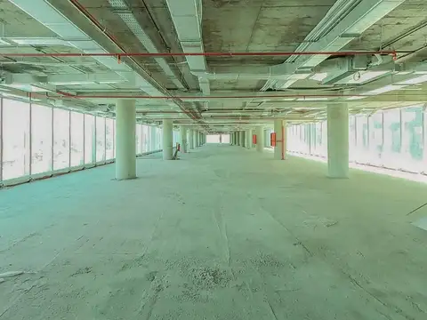 Oficina en Alquiler A Estrenar