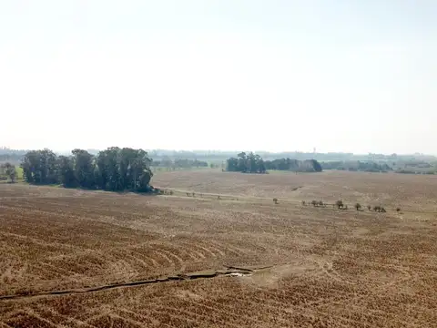 Campo en Venta Mixto