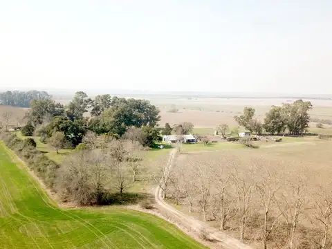 Campo en Venta de 92  ha