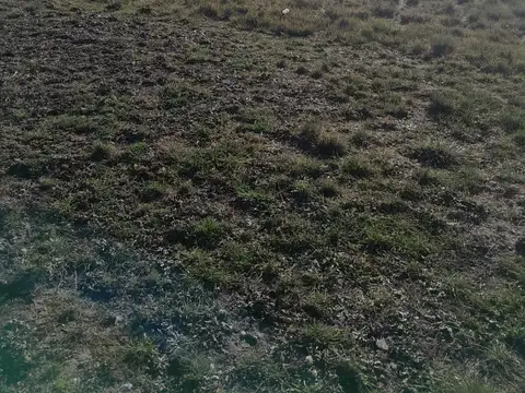 Lote Barrio De Campo Verbenas