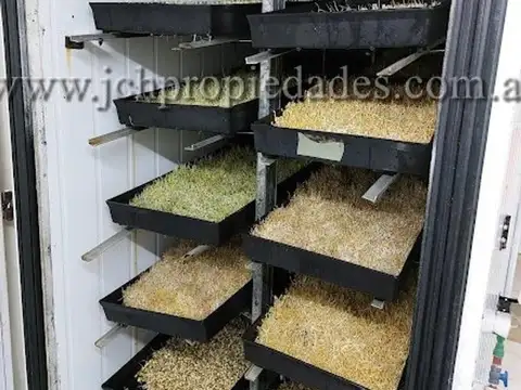 Fondo de comercio  “Brotes y micro vegetales gastronómicos”