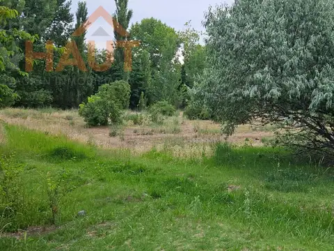 Chacra con galpón 4 esquinas en alquiler