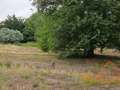 Chacra con galpón 4 esquinas en alquiler