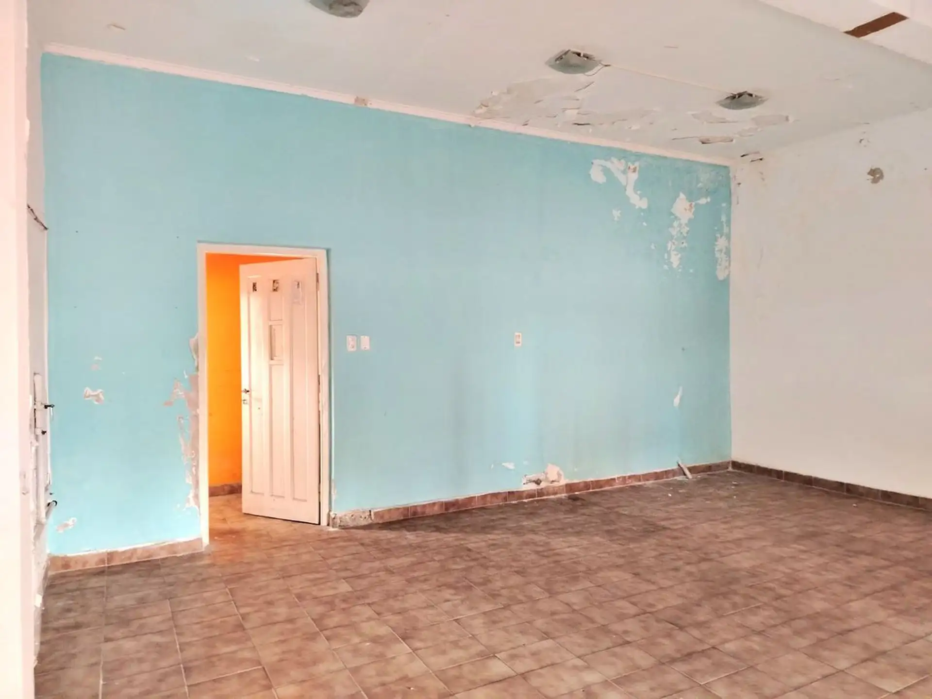 Venta Local, Cochera y 2 Casas a Reciclar Avenidas