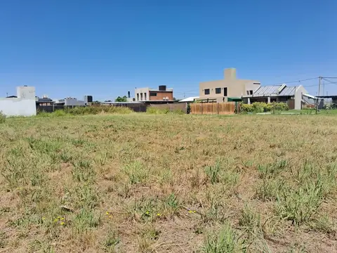 Terreno en Venta 30  mts Fondo