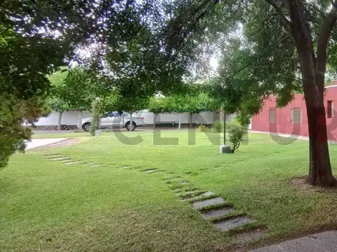 CRUZ VIDELA 100