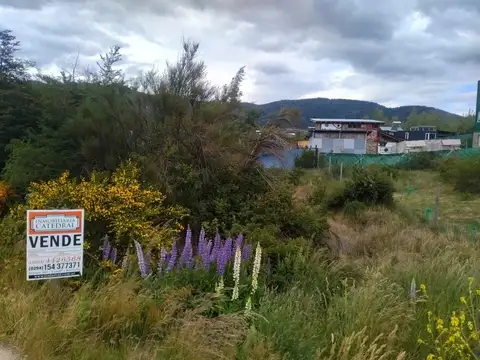 Lote Lomas del Cauquen