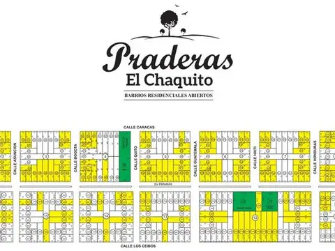 Caracas y Bogota 100