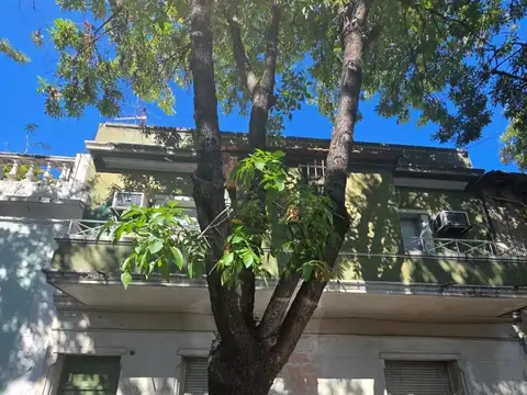 El Misionero 2300, Piso 1