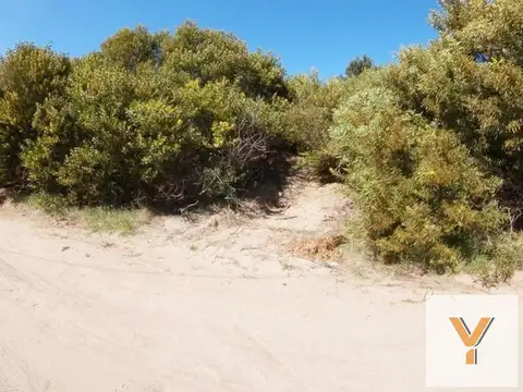 30 y Punta del Este