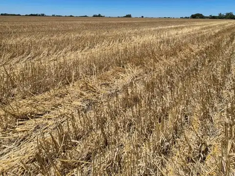 EXCEPCIONAL FRACCIÓN 100% AGRÍCOLA | 17,7 HA EN ZONA NÚCLEO