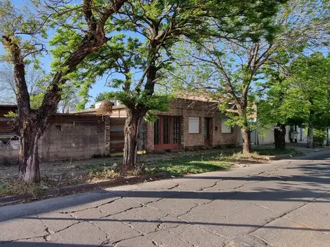 Terrazon  380