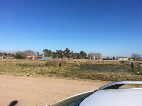 Terreno en Venta de 1000,0 m2