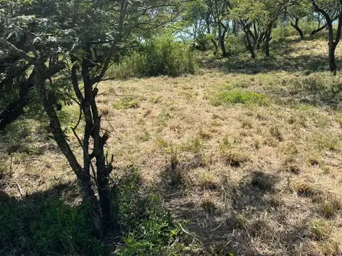 Terreno en Venta de 600,0 m2