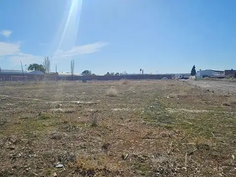 Luis Beltran y El Cholar