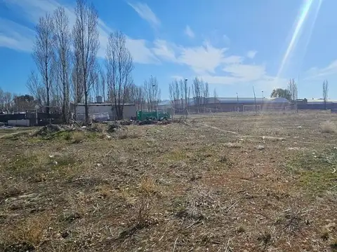 Luis Beltran y El Cholar