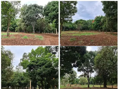 Av. Cmte. Andresito  al 4400