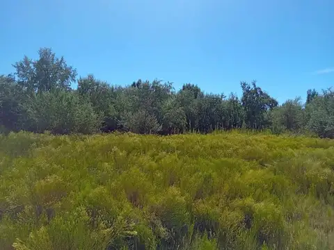 ALQUILER DE CHACRA PARA PRODUCCION O INDUSTRIAL