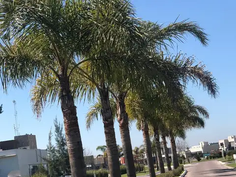 Terreno en Venta en Canning, USD 36.000