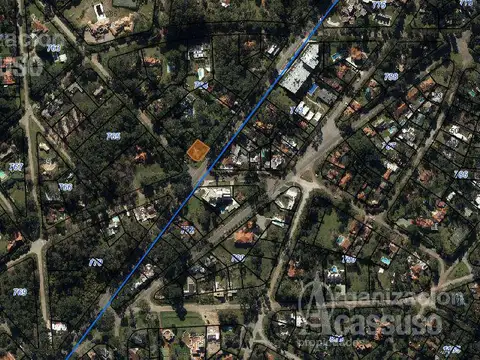 Av. Pedragosa Sierra esq Madrid