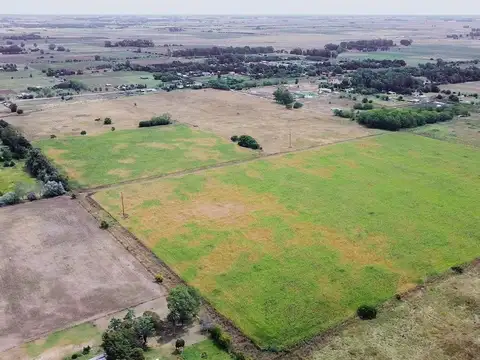 Campo a la venta en Ignacio Correas La Plata
