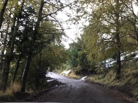 San Martín de los Andes - Lote en Terrazas de Bella  Vista -