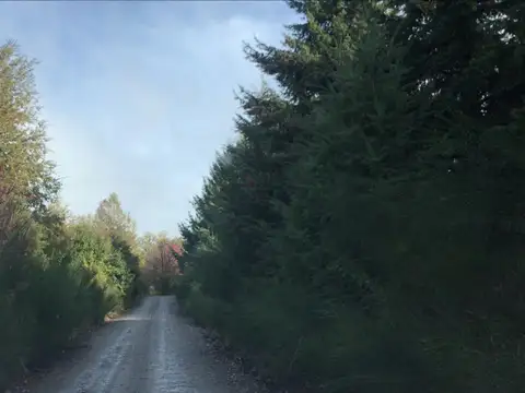 Terreno en Venta 54  mts Fondo