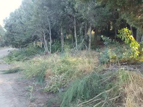 Terreno en Venta de 1352,0 m2