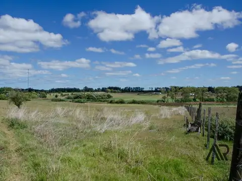 Campo en Venta en El Odre, Loventué