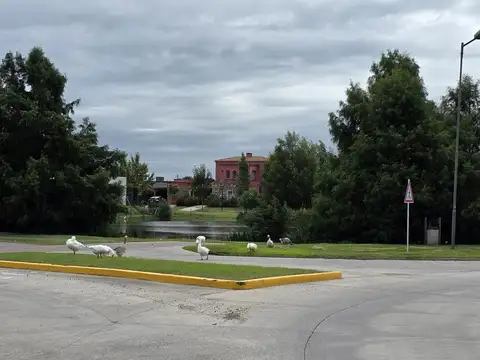 Terreno en Venta de 927,0 m2