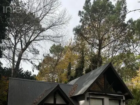 Rey del Bosque  al 1000