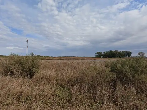 Campo en Venta de 52  ha