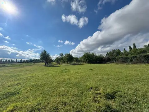 VENTA FINCA IDEAL PARA CABAÑAS TURISTICAS