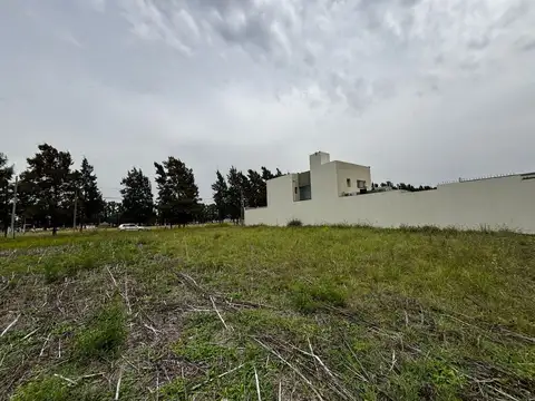 LOTE EN VENTA SAN CARLOS LA PLATA 650 m2