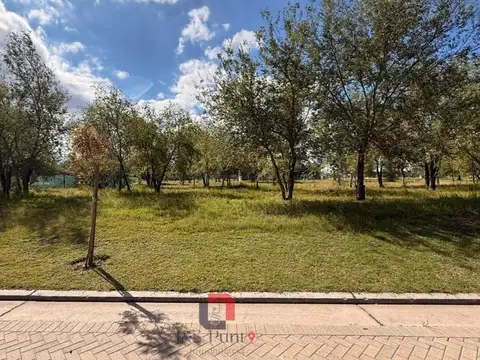 Terreno en Venta 15  mts Frente