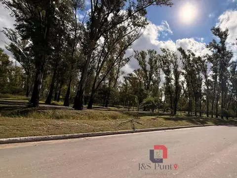 Terreno en Venta 25  mts Fondo