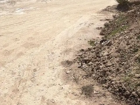 Depósito industrial AAA a estrenar de 12.000 m², con posibilidad de duplicar la superficie.