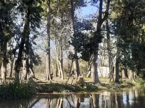 Ruta Provincial 100