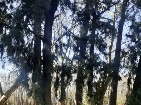 Terreno en Venta en Dique Luján, USD 110.000