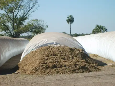 4500 has mixtasnorte de Entre Ríos / Financiación