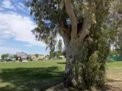 Terreno en Venta de 515,0 m2