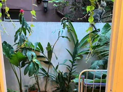 Depto Tipo Casa en Alquiler de 2 ambientes