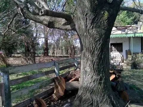 161 esquina 82 , Piso 0