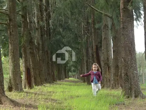 Terreno en venta en La Estela 100